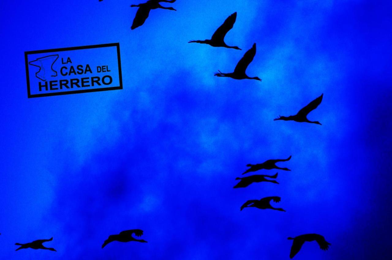 La Casa Del Herrero El Poyo Buitenkant foto